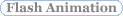 Flash Animation